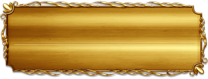 T_UI_CUS_PL_InfoPanel_0028