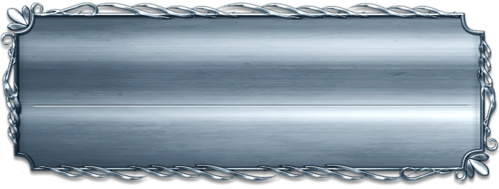 T_UI_CUS_PL_InfoPanel_0029