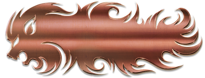T_UI_CUS_PL_InfoPanel_0048