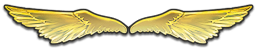 T_UI_CUS_PL_ShogoPanel_0025