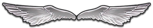 T_UI_CUS_PL_ShogoPanel_0026