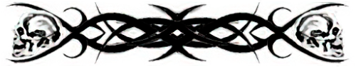 T_UI_CUS_PL_ShogoPanel_0028
