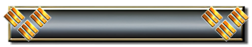 T_UI_CUS_PL_ShogoPanel_0068