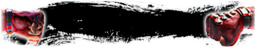 T_UI_CUS_PL_ShogoPanel_0073