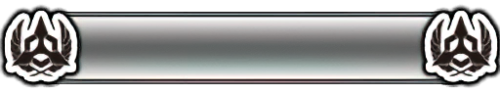 T_UI_CUS_PL_ShogoPanel_0076