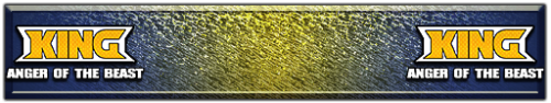 T_UI_CUS_PL_ShogoPanel_0233