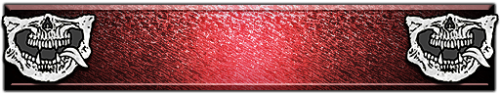 T_UI_CUS_PL_ShogoPanel_0238