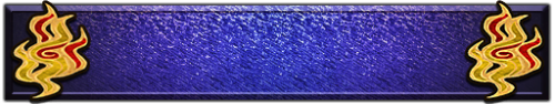 T_UI_CUS_PL_ShogoPanel_0239