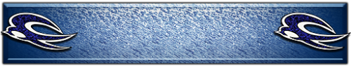 T_UI_CUS_PL_ShogoPanel_0242