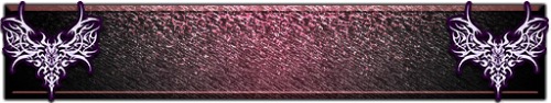 T_UI_CUS_PL_ShogoPanel_0243