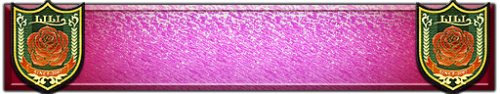 T_UI_CUS_PL_ShogoPanel_0245