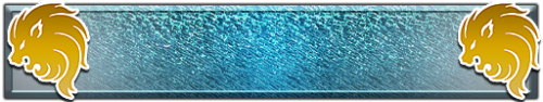 T_UI_CUS_PL_ShogoPanel_0248