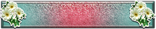 T_UI_CUS_PL_ShogoPanel_0249
