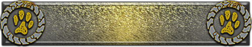 T_UI_CUS_PL_ShogoPanel_0257