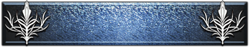 T_UI_CUS_PL_ShogoPanel_0259