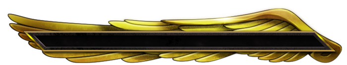 T_UI_HUD_Gauge_L_0007