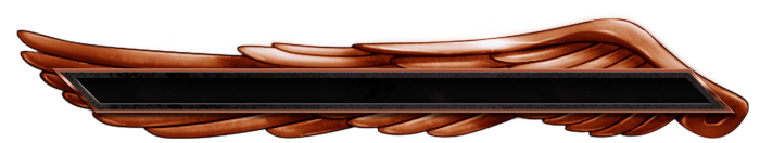 T_UI_HUD_Gauge_L_0009