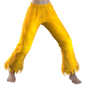 T_UI_CUS_CH_item_aml_btm_f_dogi_damage
