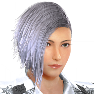 T_UI_CUS_CH_item_aml_har_f_hero2b