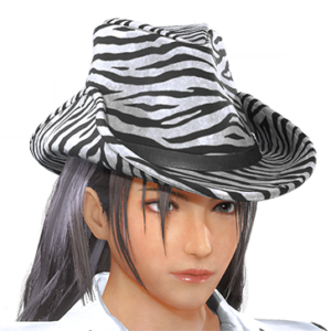 T_UI_CUS_CH_item_aml_hed_tengallon_zb