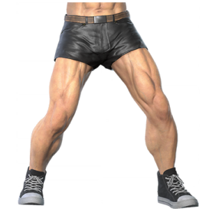 T_UI_CUS_CH_item_ant_btm_m_leather_short