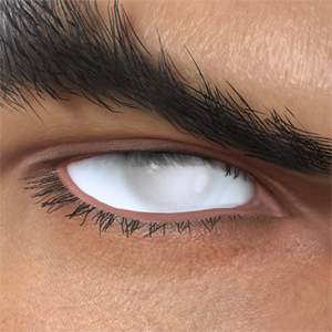 T_UI_CUS_CH_item_ant_eye_white