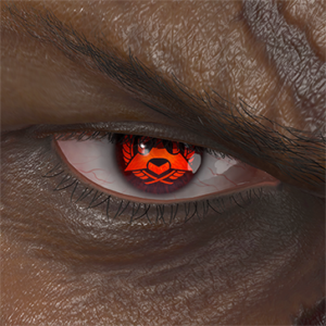 T_UI_CUS_CH_item_bbn_eye_mz