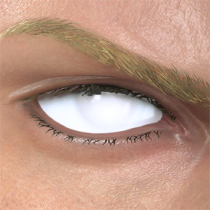 T_UI_CUS_CH_item_bsn_eye_white