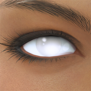 T_UI_CUS_CH_item_cat_eye_white