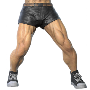 T_UI_CUS_CH_item_cht_btm_m_leather_short