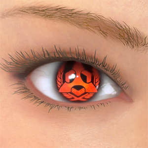 T_UI_CUS_CH_item_der_eye_mz