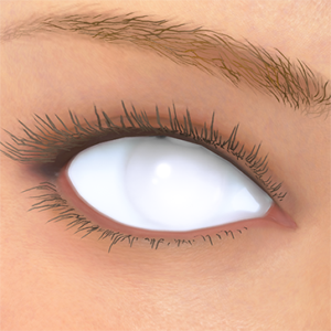 T_UI_CUS_CH_item_der_eye_white