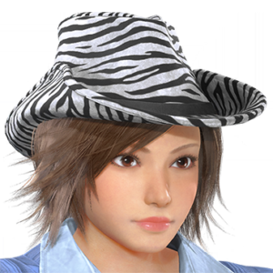 T_UI_CUS_CH_item_der_hed_tengallon_zb