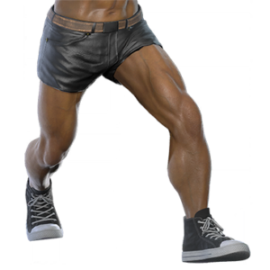 T_UI_CUS_CH_item_dog_btm_m_leather_short