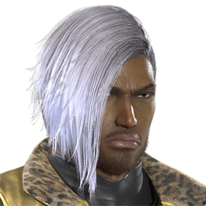 T_UI_CUS_CH_item_dog_har_m_hero2b