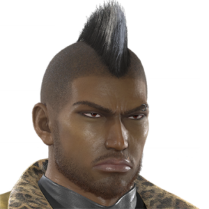 T_UI_CUS_CH_item_dog_har_mohawk