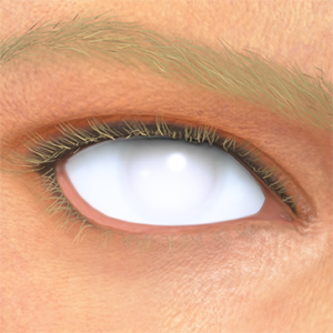 T_UI_CUS_CH_item_ghp_eye_white