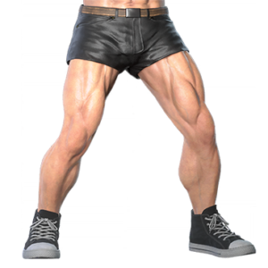 T_UI_CUS_CH_item_grf_btm_m_leather_short