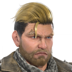 T_UI_CUS_CH_item_grf_har_m_heroshort_2c