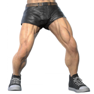 T_UI_CUS_CH_item_grl_btm_m_leather_short