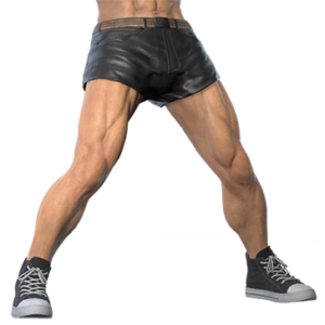 T_UI_CUS_CH_item_hrs_btm_m_leather_short