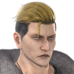 T_UI_CUS_CH_item_kmd_har_m_heroshort_2c