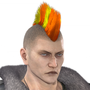 T_UI_CUS_CH_item_kmd_har_m_moh_2c