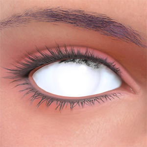 T_UI_CUS_CH_item_mnt_eye_white