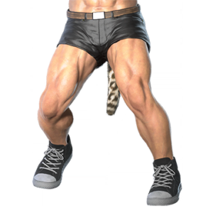 T_UI_CUS_CH_item_pgn_btm_m_leather_short