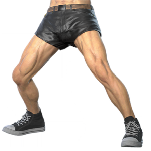 T_UI_CUS_CH_item_pig_btm_m_leather_short