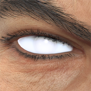 T_UI_CUS_CH_item_pig_eye_white