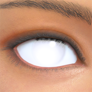 T_UI_CUS_CH_item_rat_eye_white