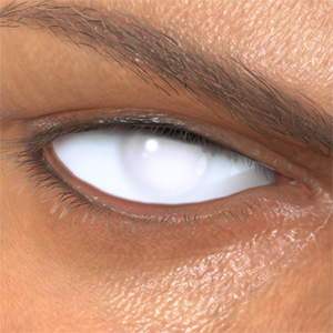 T_UI_CUS_CH_item_snk_eye_white