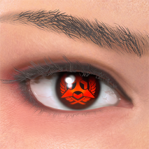 T_UI_CUS_CH_item_zbr_eye_mz